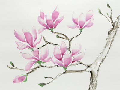 Delicate roze magnolia’s door Natalie Bruns