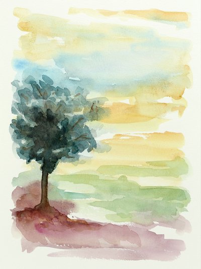 Zonsondergang in Lone Tree door Natalie Bruns