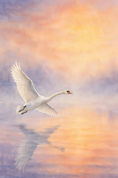De weerspiegeling van een majestueuze zwaan door Natalie Bruns