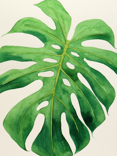 Tropisch Monstera-blad door Natalie Bruns