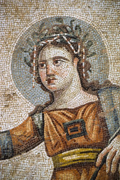 Romeins mozaïek in de villa Huis van Aion door Nathan Benn