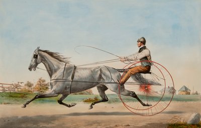 Grijze Eddy door Nathaniel Currier