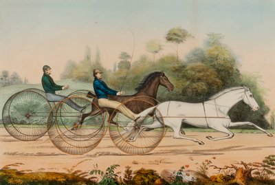 Lady Suffolk en Lady Moskou door Nathaniel Currier