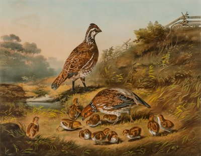 De zorgen van een gezin door Nathaniel Currier
