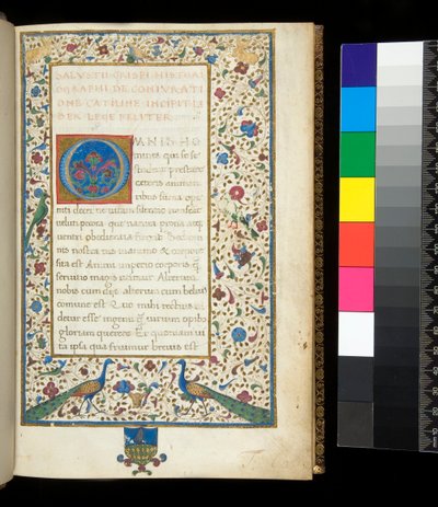 Ms 336. Sallust, Catilina en Jugurtha, f.1r. Volledig verlichte rand met pauwen, konijnen, groene parkieten en een duif door Neapolitan School