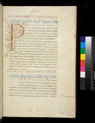 Ms 394.1. Plinius de Oudere, Historia naturalis, f.1r. Verlichte initiaal [P] met witte wijnstokdecoratie (onafgewerkt), Napels, midden 15e eeuw, c.1442 (perkament) door Neapolitan School