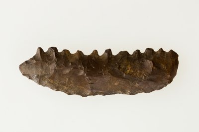 Bifaciale sikkel, c.4500-4000 v.Chr. door Neolithic Neolithic