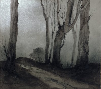 Schaduwen van de Nacht door Nesta Jennings Campbell