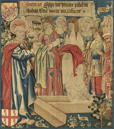 De opwekking van Tabitha door Netherlandish 15th Century