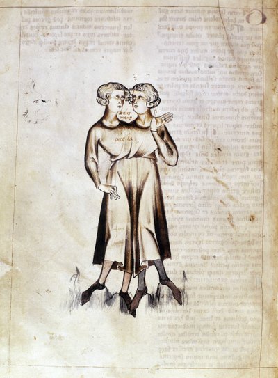 Tekening van Tweelingen, uit een vertaling van een Perzisch astrologisch verhandeling door Jafar ibn Muhammad door Netherlandish School