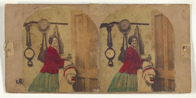 Goed tegen verkoudheid. door New York Stereoscopic Company