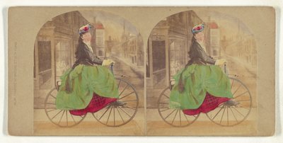 Het meisje van de periode. door New York Stereoscopic Company