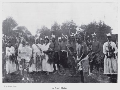 Nieuw Plymouth, Nieuw-Zeeland: Een Maori Haka door New Zealand Photographer