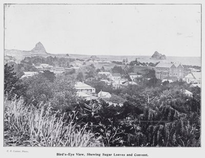 Nieuw Plymouth, Nieuw-Zeeland: Vogelvlucht, met Suikerbroden en Klooster door New Zealand Photographer