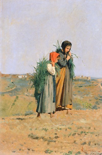 Erbaiole door Niccolo Cannicci