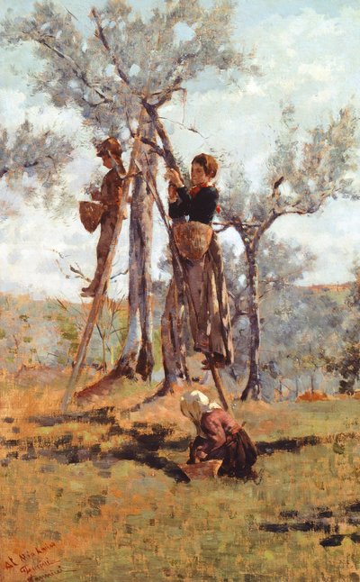 De olijvenoogst, ca. 1892 door Niccolo Cannicci