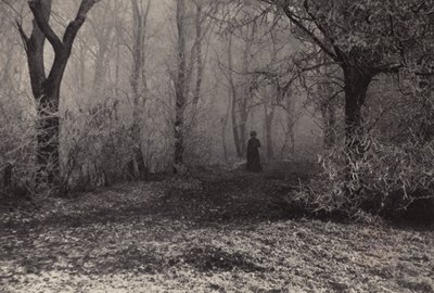 In het Bos van Wenen door Nichol Elliot