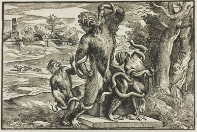 Laocoön door Nicolò Boldrini