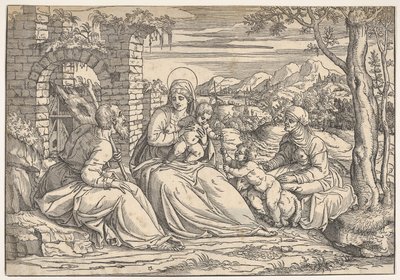 De Heilige Familie met heiligen Elizabeth en Johannes, ca. 1550 door Nicolò Boldrini
