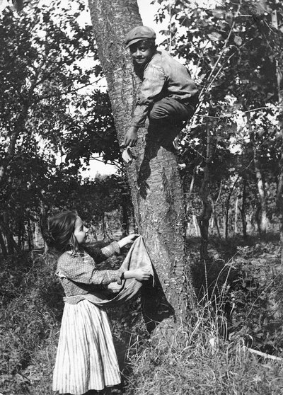 Een jongetje in een fruitboom plukt fruit voor een meisje, Molise door Nicola Biondi