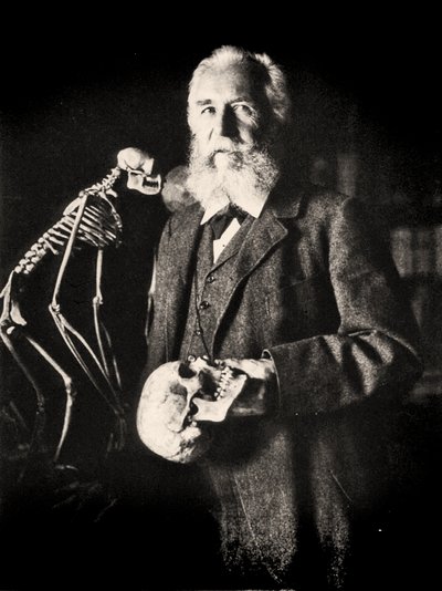 Portret van Ernst Haeckel naast het skelet van een aap, ca. 1860 door Nicola Perscheid