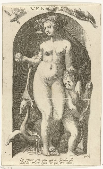 Venus door Nicolaas Braeu