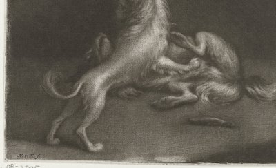 Twee spelende honden door Nicolaas Verkolje