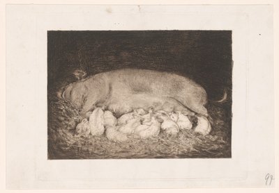 Zeug met biggen door Nicolaas van der Waay