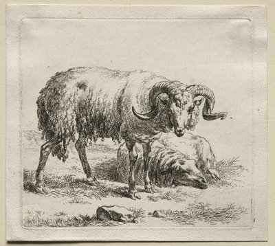 Animalia: Ram en schaap door Nicolaes Berchem