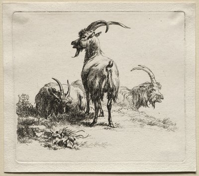 Dieren: Drie geiten door Nicolaes Berchem