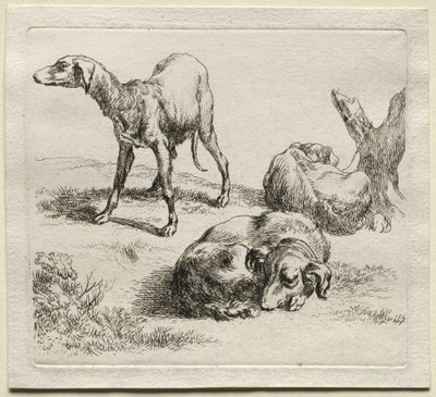 Animalia: Drie Jachthonden door Nicolaes Berchem