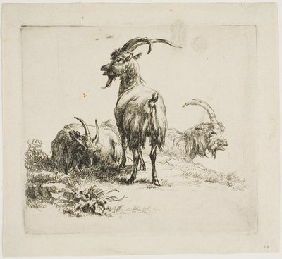 Geiten, uit Verschillende Dieren door Nicolaes Berchem