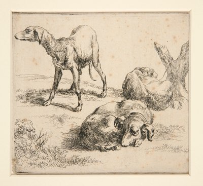 Drie jachthonden door Nicolaes Berchem