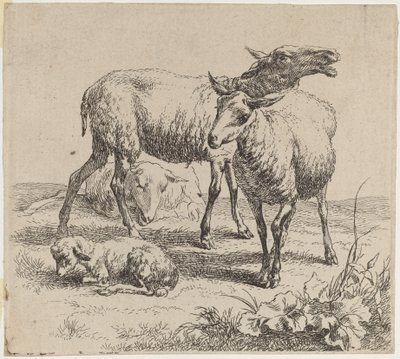 Drie schapen en een lam door Nicolaes Berchem