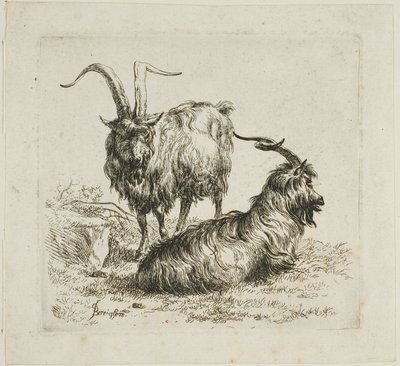 Twee geiten met grote hoorns, uit Diverse dieren door Nicolaes Berchem