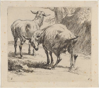 Twee Schapen, Eén Plassend door Nicolaes Berchem