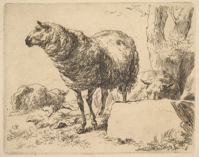 uit De Set van Schapen door Nicolaes Berchem