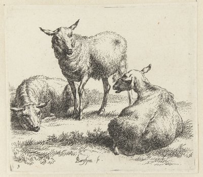 Drie schapen door Nicolaes Pietersz Berchem