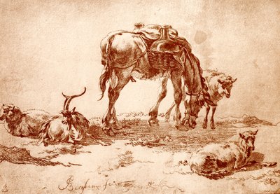 Weide met ezel, geit en schapen door Nicolaes Pietersz. Berchem