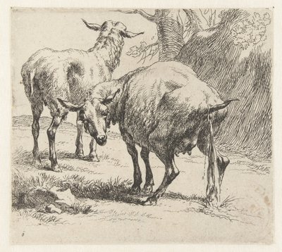 Pissende ooi en een schaap door Nicolaes Pietersz Berchem
