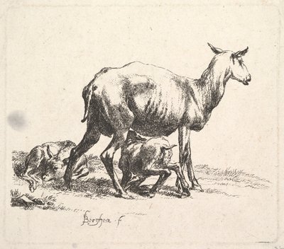Schaap met zogend lam door Nicolaes Pietersz. Berchem