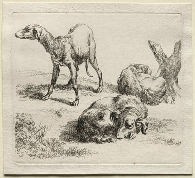 Drie Jachthonden door Nicolaes Pietersz. Berchem