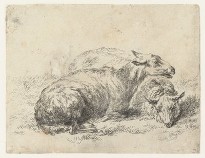 Twee liggende schapen door Nicolaes Pietersz Berchem