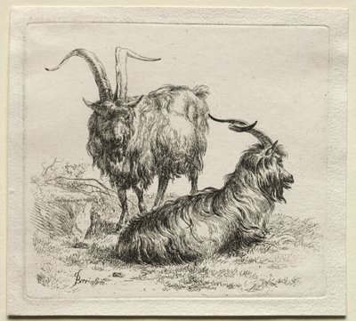 Twee Geiten door Nicolaes Pietersz. Berchem