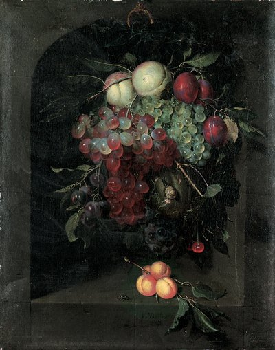 Guirlande van druiven, perziken, pruimen en kersen met een slak in een stenen nis met een tros abrikozen en een bij op een richel, 1666 door Nicolaes Van Gelder