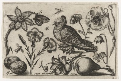 Bloemen, een peer en een duif door Nicolaes de Bruyn (possibly)