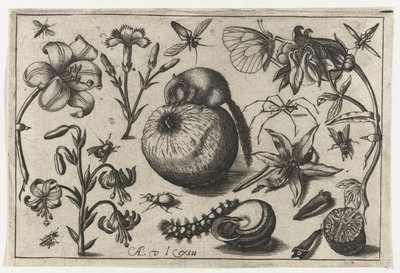 Bloemen en een muis op een appel door Nicolaes de Bruyn (possibly)