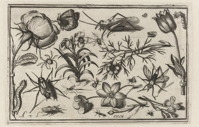 Bloemen en insecten door Nicolaes de Bruyn (possibly)