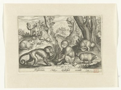 Apen, katten en muizen door Nicolaes de Bruyn