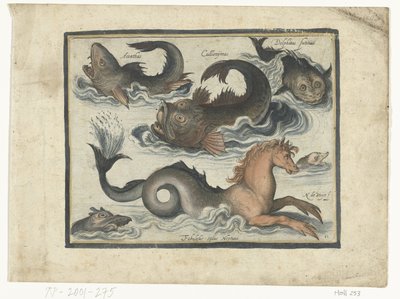 Fantastische waterdieren, onder andere zeepaard door Nicolaes de Bruyn